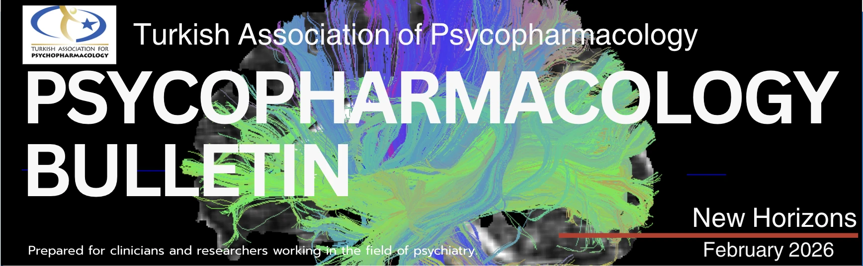 3rd issue of the Psychopharmacology Bulletin